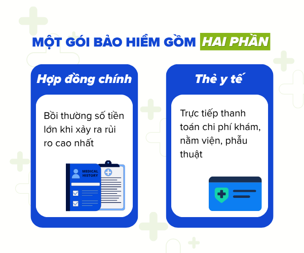 Khi mua bảo hiểm nhân thọ người mua sẽ sở hữu hai tài sản quan trọng bao gồm hợp đồng chính và thẻ y tế